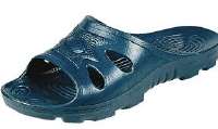 IMG6599.jpeg