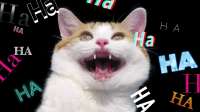 16576869655040.png