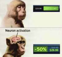IMG6637.jpeg