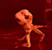 17492291506372.webm