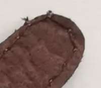 IMG6667.jpeg