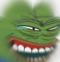 IMG6558.jpeg
