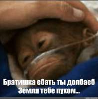 1755197827726.jpg