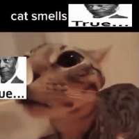 181913203748865790369Go0QIWMboAAKokB-ezgifcom-video-to-gif-converter.gif