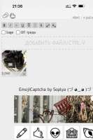IMG5365.jpeg