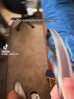 1766180129552.mp4