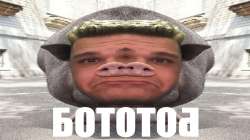 bototob.jpg
