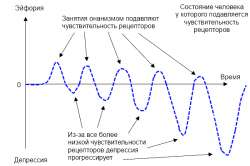 1485936579grafik2.png