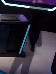15828228778920.webm