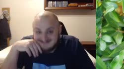 0.mp4