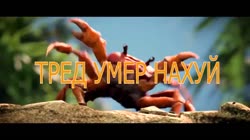ТРЕД УМЕР НАХУЙ.mp4