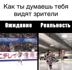 900642842455561466945106584606609641227916n.mp4
