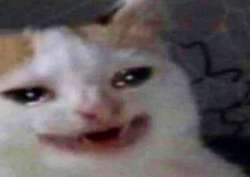 image.jpeg