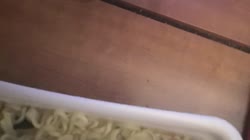 video2020-03-1920-32-04.mp4