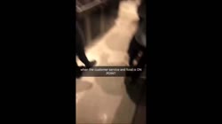 who made this burger.mp4