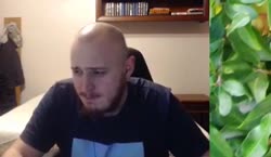 00014.mp4