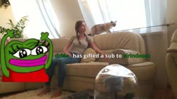 mira5.webm