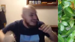 8.mp4
