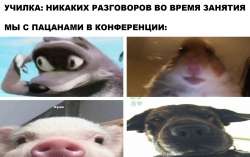 1452657798591.png