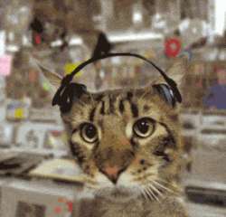 1455502909799.gif