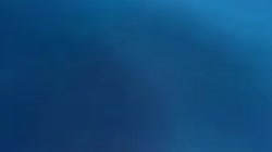 15845223830700.mp4