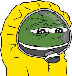 image.jpeg