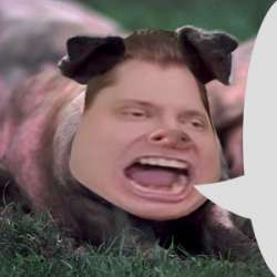 15682227665500.png
