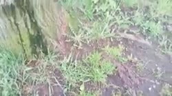 9543867576.mp4
