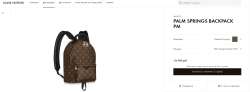 PALM SPRINGS BACKPACK PM.jpg
