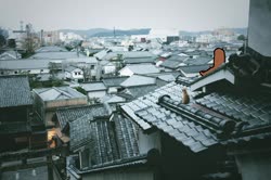 1536059151595.webm