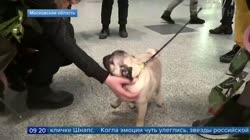 15802012492480.mp4