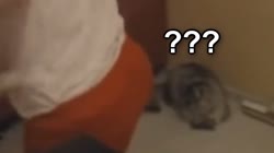 1572245426978.mp4