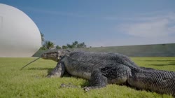 15633890038869.webm