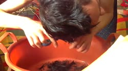 barbershop.mp4