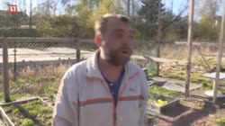Вообще похую.mp4