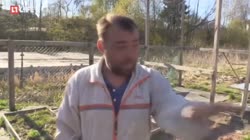 15849999694870.mp4