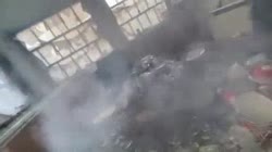 3534783456.mp4