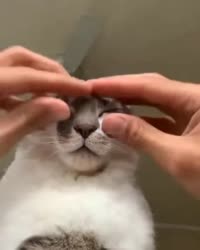 a5R0zwo460svvp9.webm