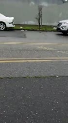 hobo1.webm