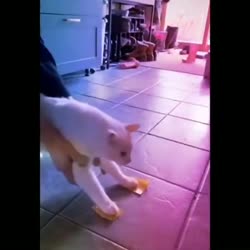 aroQZ86460svav1.webm