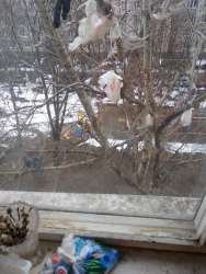 IMG20200402150700.jpg