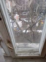 IMG20200402150717.jpg