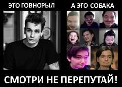 15774386368930.jpg
