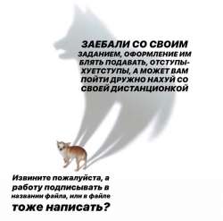 15865772812550.jpg