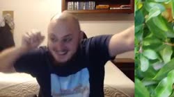 8.mp4
