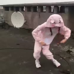 15684760068400.webm