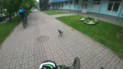 ГРОЗА ГОЛУБЕЙ.mp4