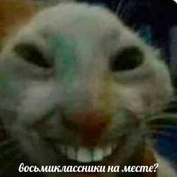 восьмиклассник.png