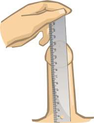 penis-lenght-1.png