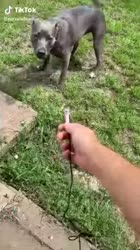 fewwords.webm